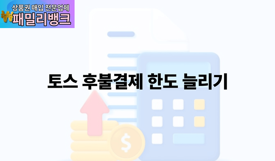 토스 후불결제 한도 늘리기